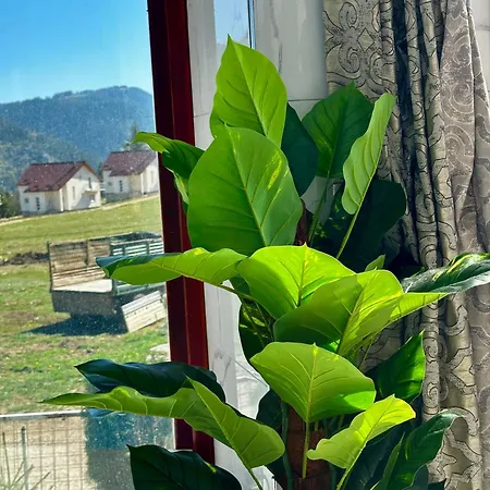 Odmor - Wellnes & Villa *