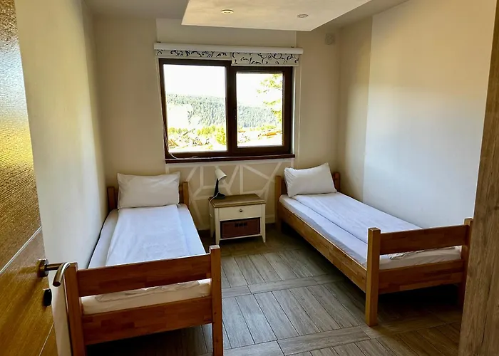 别墅 Odmor - Wellnes & 弗拉西克