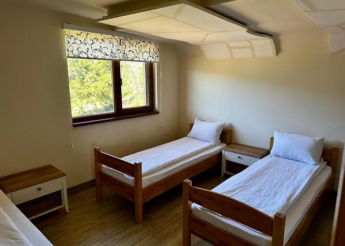 别墅 Odmor - Wellnes & 弗拉西克