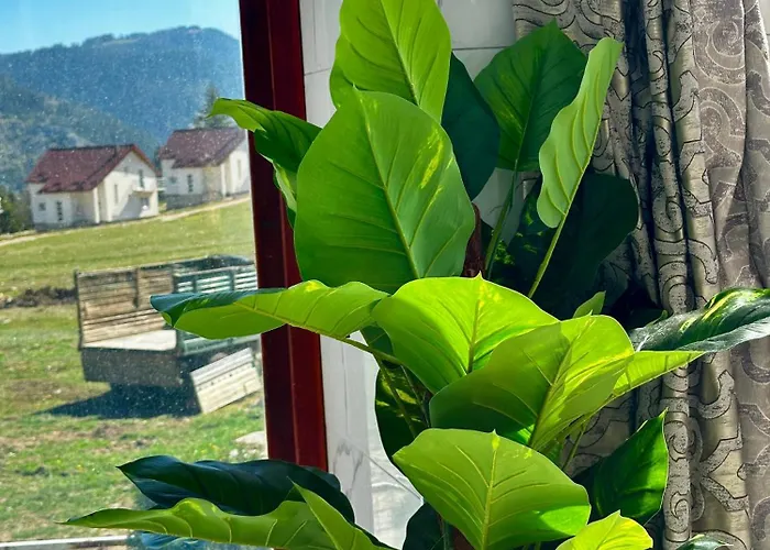 Odmor - Wellnes & 别墅 *